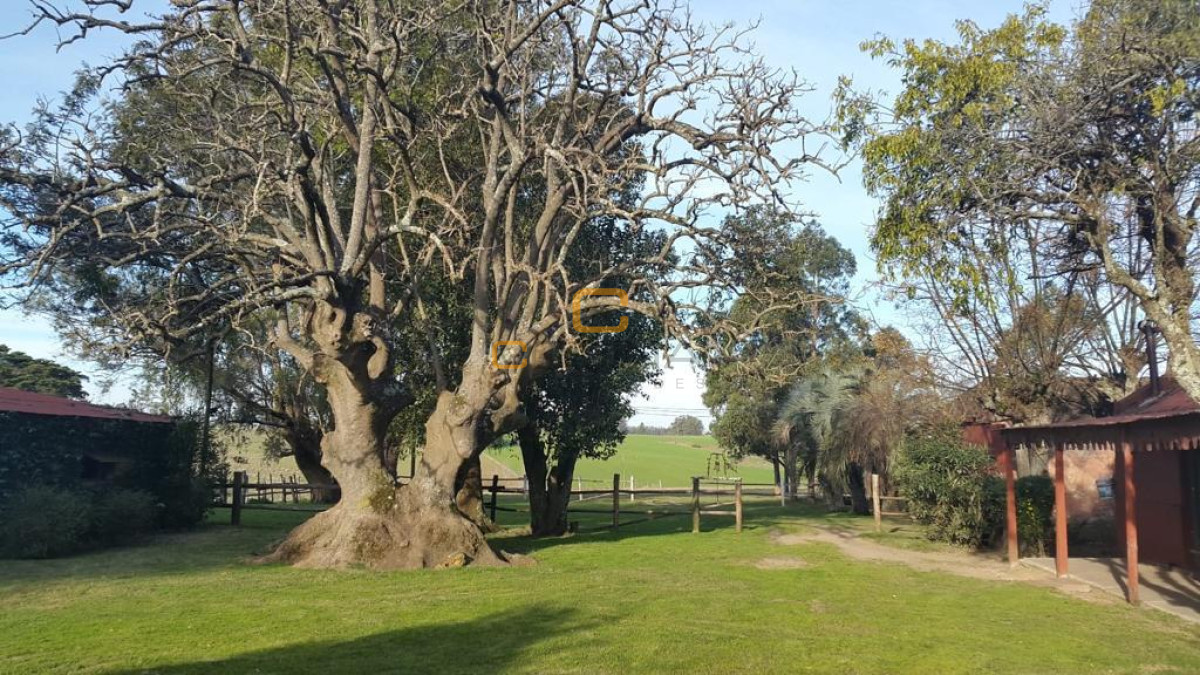 Chacra ID.696 - Chacra de 75 Hectáreas en Ruta 9 a la altura de José Ignacio