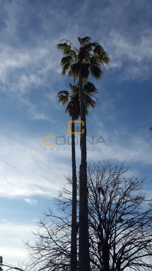 Chacra ID.696 - Chacra de 75 Hectáreas en Ruta 9 a la altura de José Ignacio