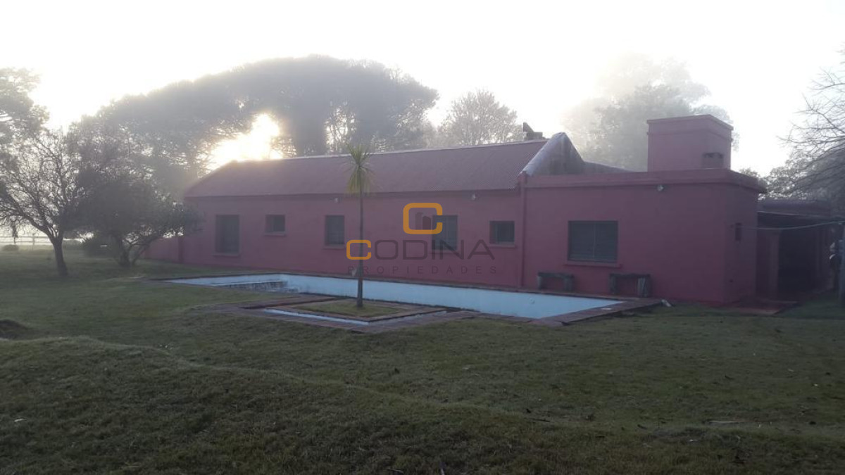 Chacra ID.696 - Chacra de 75 Hectáreas en Ruta 9 a la altura de José Ignacio