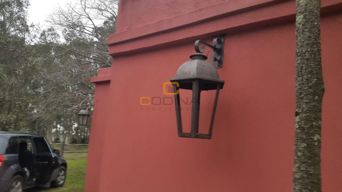 Chacra ID.696 - Chacra de 75 Hectáreas en Ruta 9 a la altura de José Ignacio