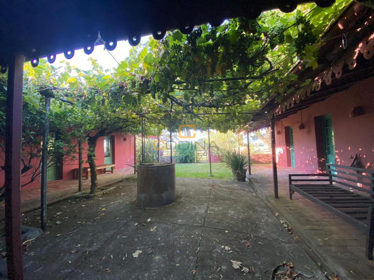 Chacra ID.696 - Chacra de 75 Hectáreas en Ruta 9 a la altura de José Ignacio