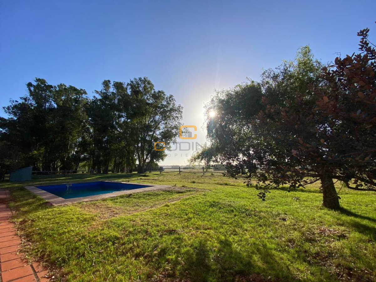 Chacra ID.696 - Chacra de 75 Hectáreas en Ruta 9 a la altura de José Ignacio