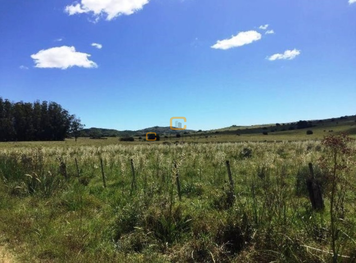 Campo Ref.690 - Chacra de 21 Hás a 20 km de Pan de Azúcar para desarrollo Agricola ganadero