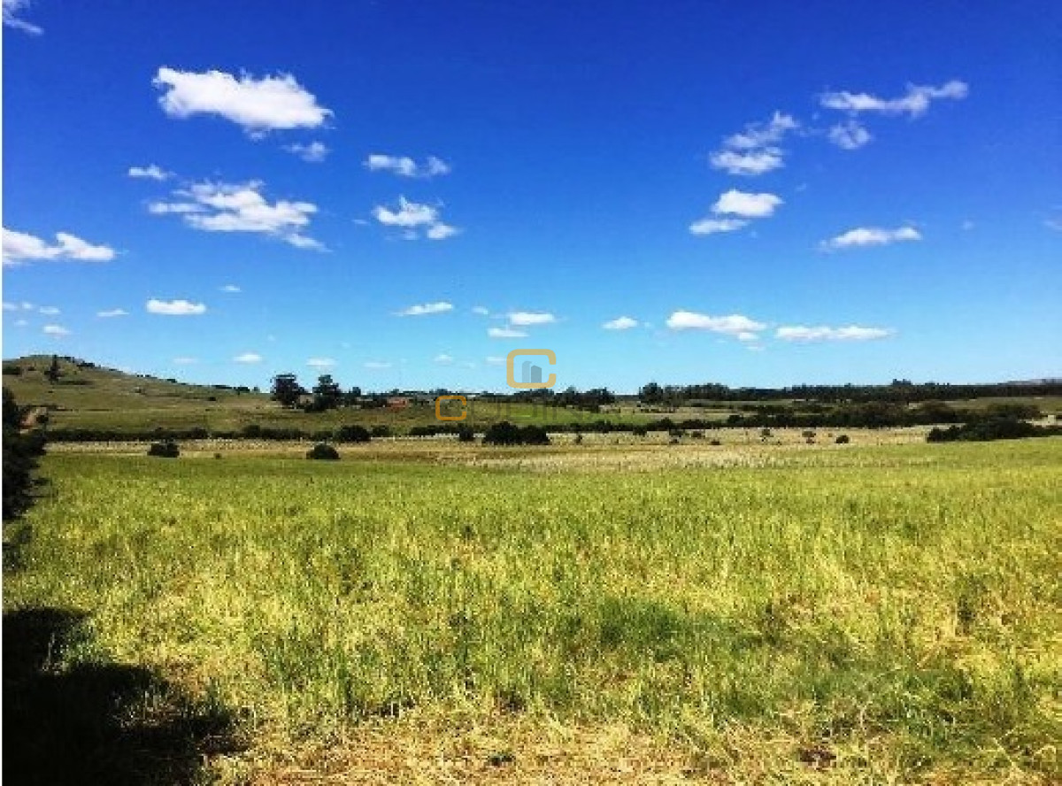 Campo Ref.690 - Chacra de 21 Hás a 20 km de Pan de Azúcar para desarrollo Agricola ganadero