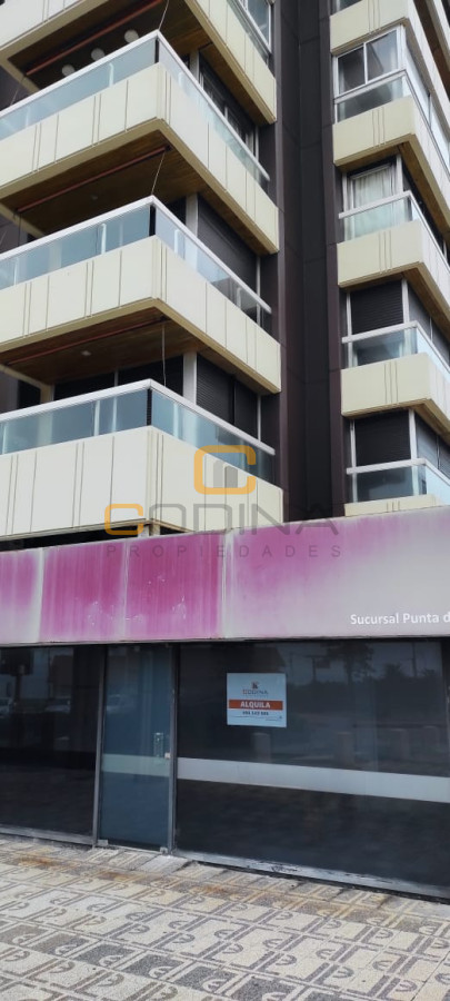 Local Comercial ID.686 - Local en Punta del Este, Península