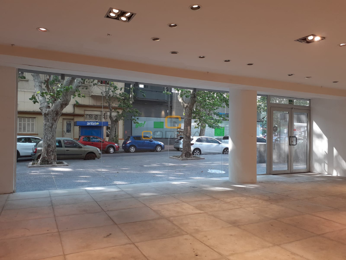 Local Comercial ID.899 - Traspaso De Alquiler, 1 Plantas  Libre,  Baño y Depósito - Luis De La Torre-Zona Punta Carretas.