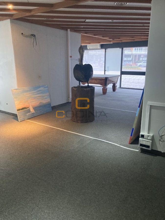 Local Comercial ID.686 - Local en Punta del Este, Península