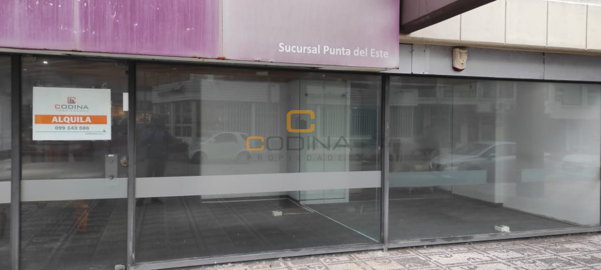 Local Comercial ID.686 - Local en Punta del Este, Península