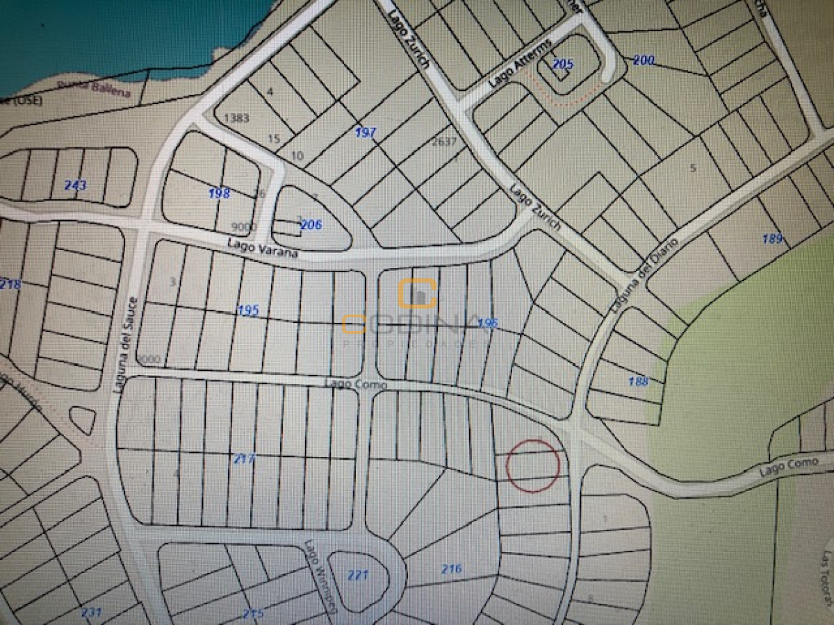 Terreno ID.728 - Muy arbolado ubicado en el centro del bosque.