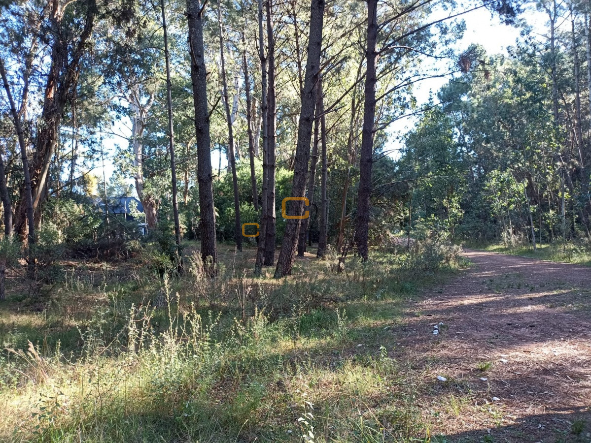 Terreno ID.628 - Terreno a la venta en Parque Burnett 4452 mts 2