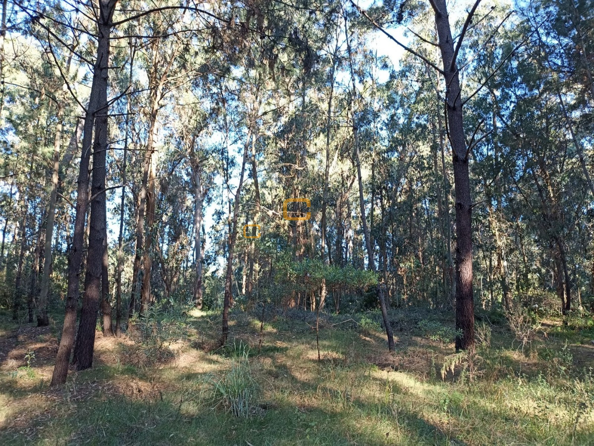 Terreno ID.628 - Terreno a la venta en Parque Burnett 4452 mts 2