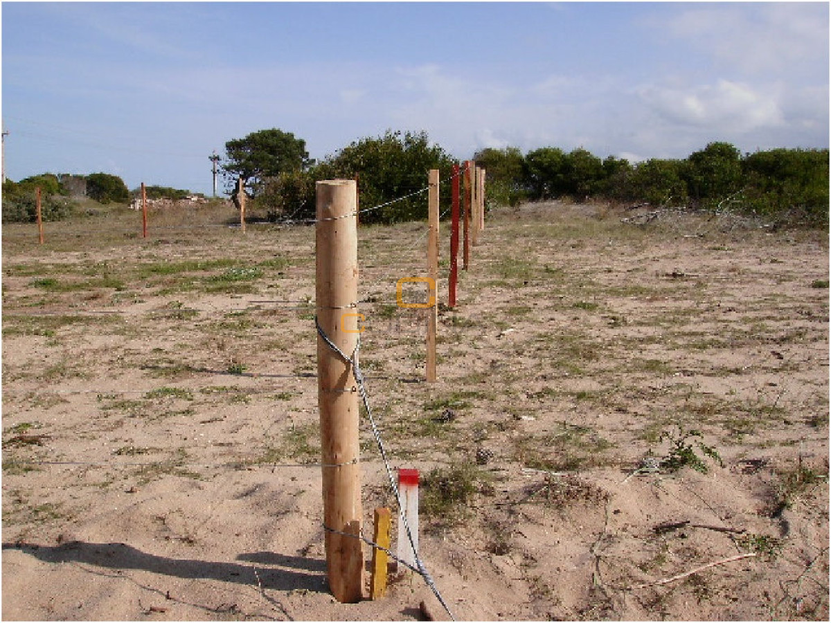 Terreno ID.776 - Terreno en Santa Mónica en Segunda Línea. La zona con más valorizacion de Jose Ignacio