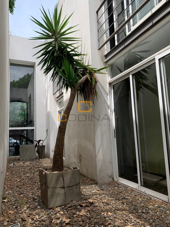 Oficina ID.933 - Edificio Corporativo En Alquiler, 9 Privados, 3 Baños y 2 Patio - Canelones- Parque Rodó
