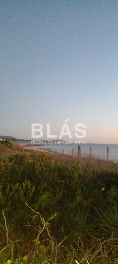 https://ri.com.uy/f/136/1/1200/0/0/0/daec8f7973f46d4d090137c8b44fe776.webp