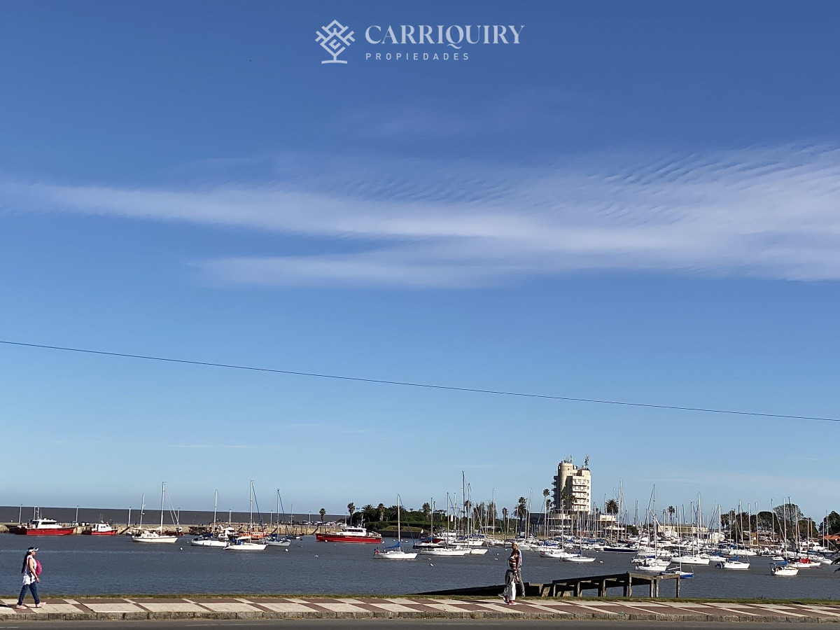Apartamento ID.9928/Moderno-Apartamento-de-Tres-Dormitorios-en-Primera-Linea,-Playa-Brava - Puerto del Buceo, 3 cuartos, 2 suites, servicio, jardin, vista veleros.