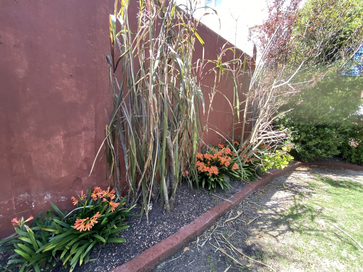 Apartamento ID.9928/Moderno-Apartamento-de-Tres-Dormitorios-en-Primera-Linea,-Playa-Brava - Puerto del Buceo, 3 cuartos, 2 suites, servicio, jardin, vista veleros.