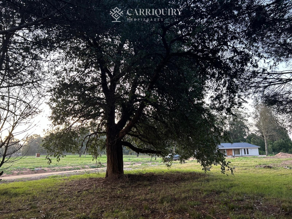 Terreno ID.9635/BEVERLY-HILLS-TERRENO-EN-VENTA- - Terreno Lote Venta,  Barrio Cerrado, Don Miguel, La Barra, Uruguay