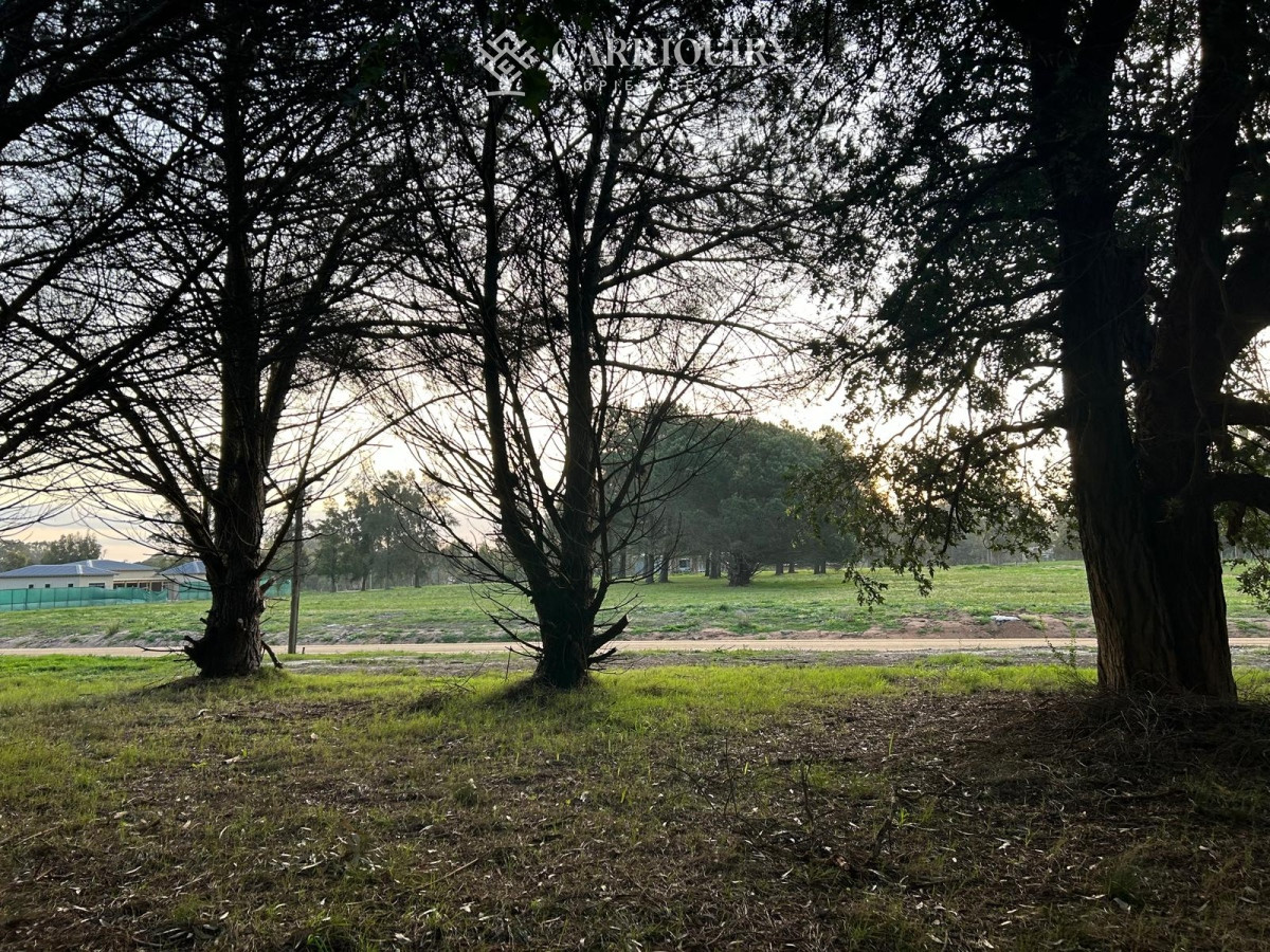 Terreno ID.9635/BEVERLY-HILLS-TERRENO-EN-VENTA- - Terreno Lote Venta,  Barrio Cerrado, Don Miguel, La Barra, Uruguay