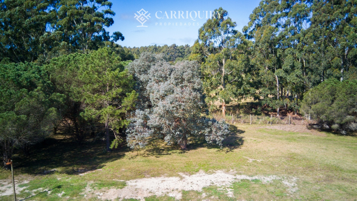 Terreno ID.9635/BEVERLY-HILLS-TERRENO-EN-VENTA- - Terreno Lote Venta,  Barrio Cerrado, Don Miguel, La Barra, Uruguay