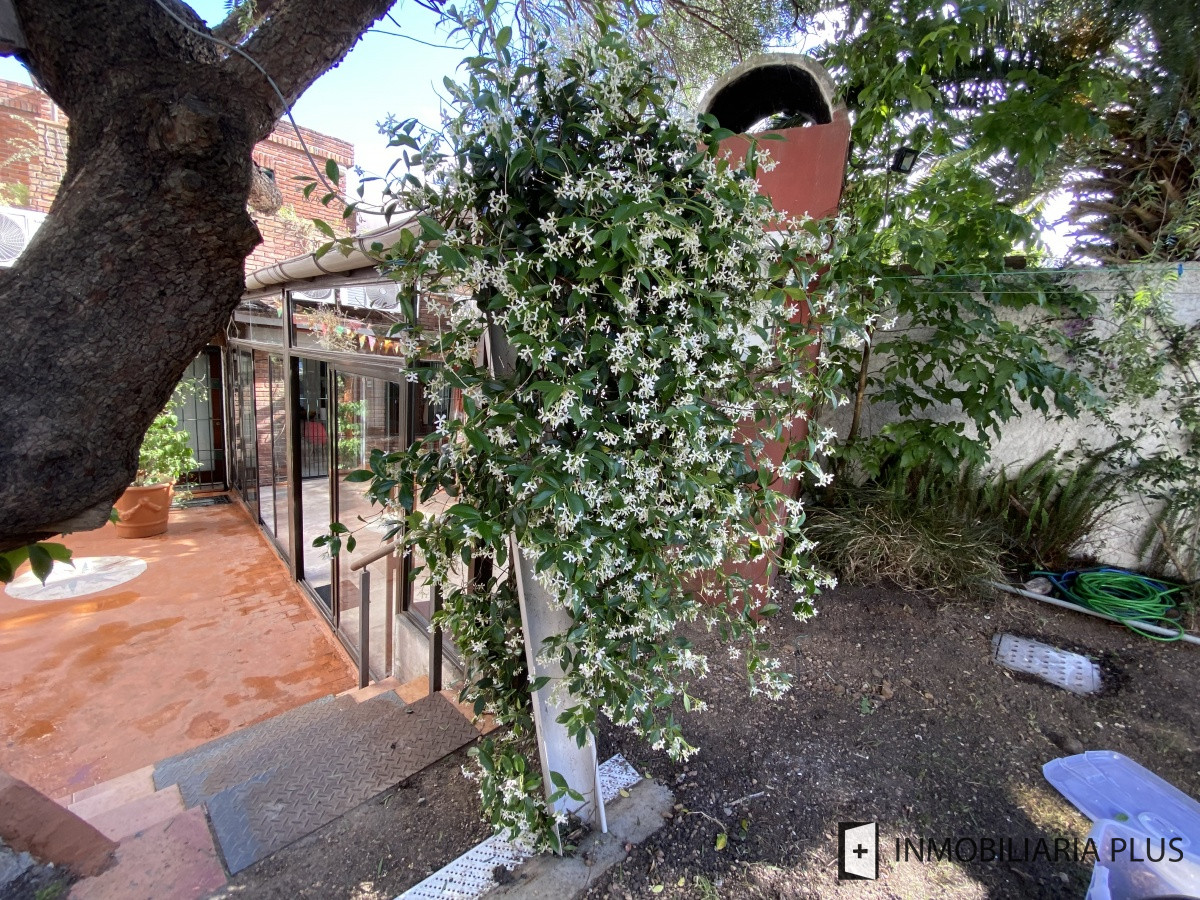 Apartamento ID.298 - Alquiler de CASA 365m2 frente al Puerto del Buceo, Barbacoa, 3 cuartos, 2 suites, servicio, jardín, vista veleros. C869