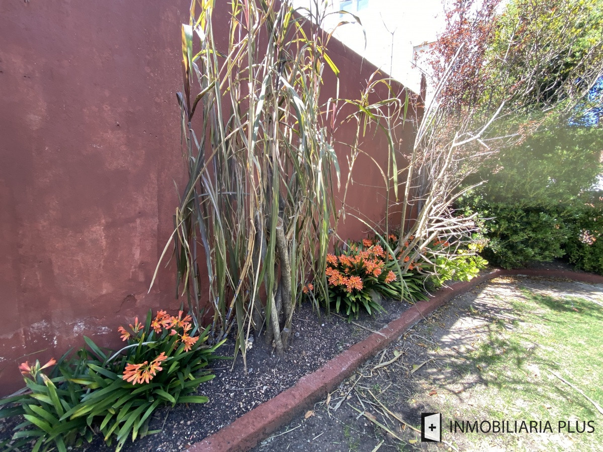 Apartamento ID.298 - Alquiler de CASA 365m2 frente al Puerto del Buceo, Barbacoa, 3 cuartos, 2 suites, servicio, jardín, vista veleros. C869