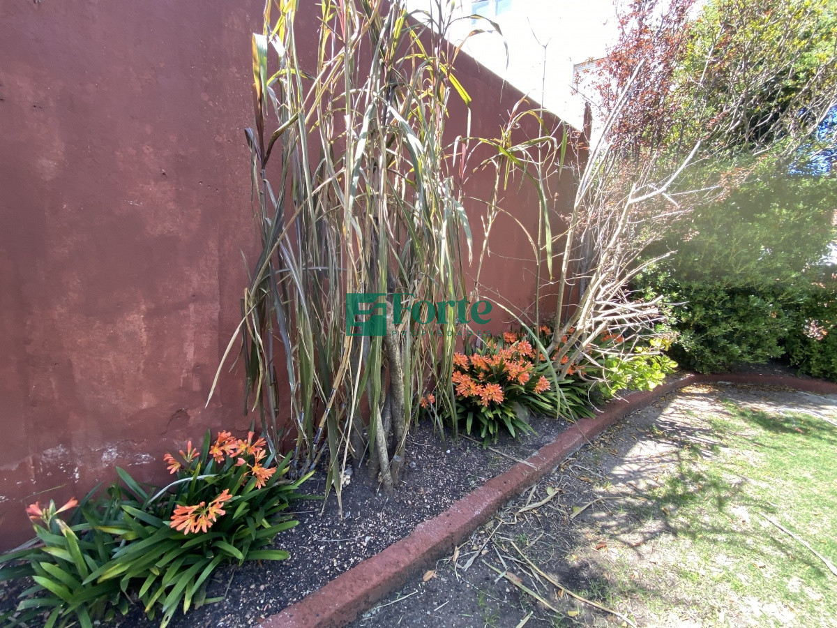 Apartamento ID.15 - Puerto del Buceo, 3 cuartos, 2 suites, servicio, jardin, vista veleros.