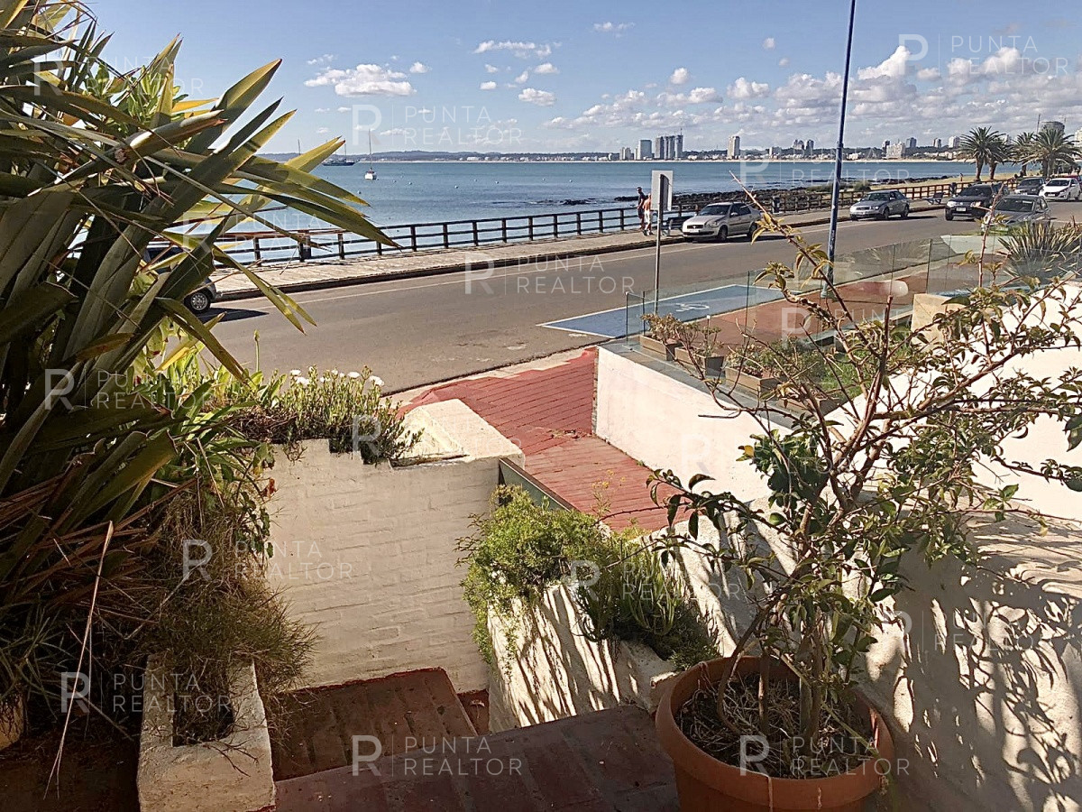 Apartamento ID.156 - Apartamento en Alquiler en el Puerto de Punta del Este