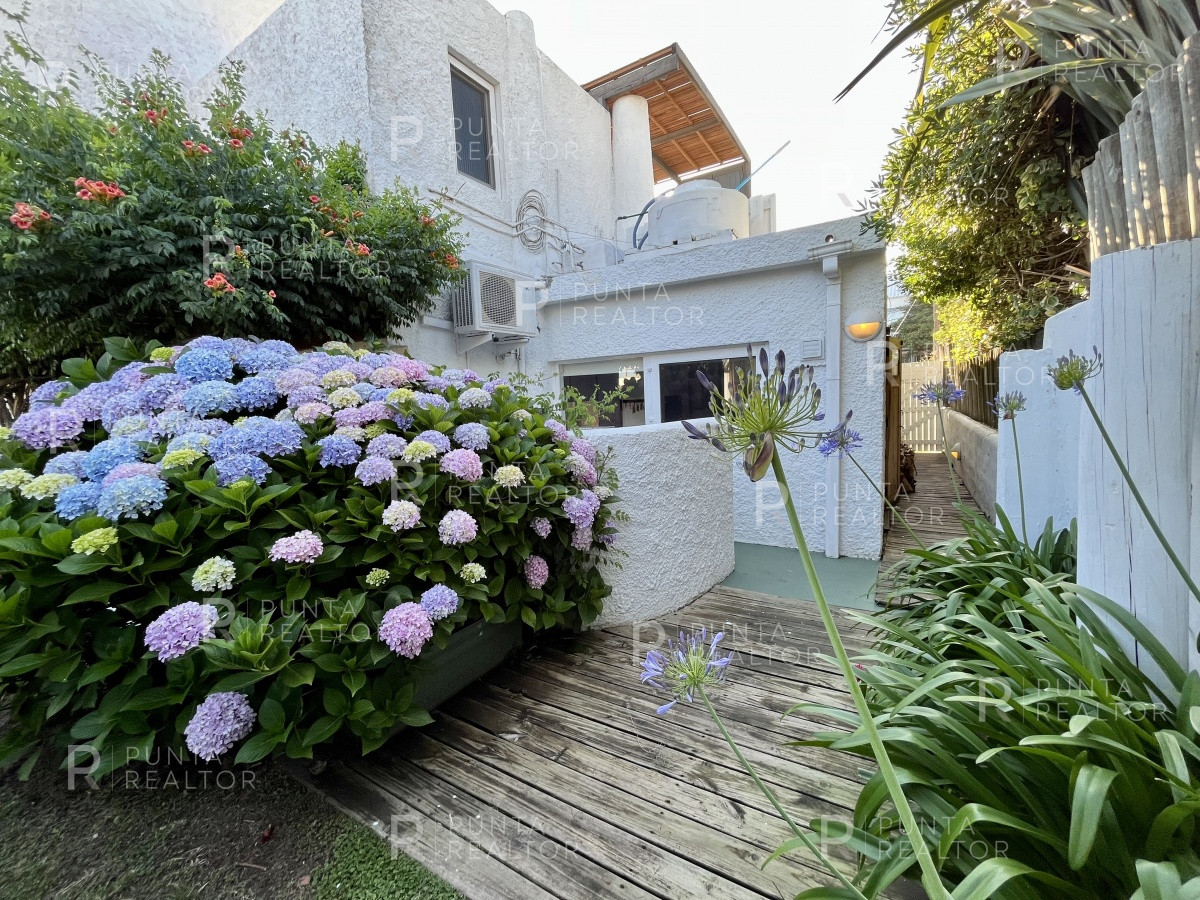 Casa ID.259 - Casa alquiler,  4 dormitorios Pileta, La Barra, Uruguay