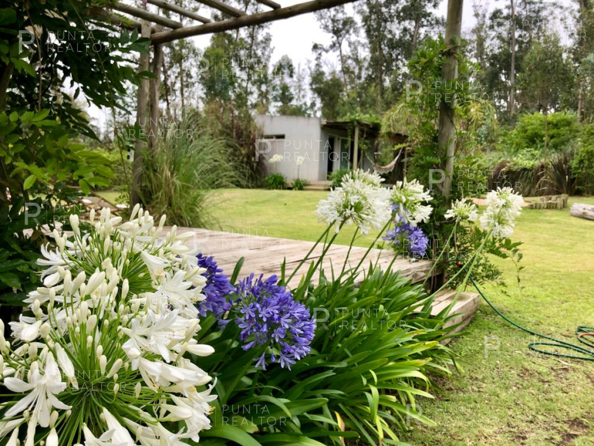 Casa ID.535 - Casa Venta, 3 dormitorios, 2 baños, El Tesoro, La Barra