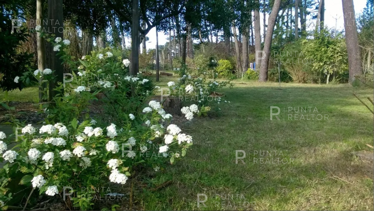 Casa ID.1240 - Casa Alquiler 2 dormitorios Montoya, La Barra, Maldonado, Uruguay