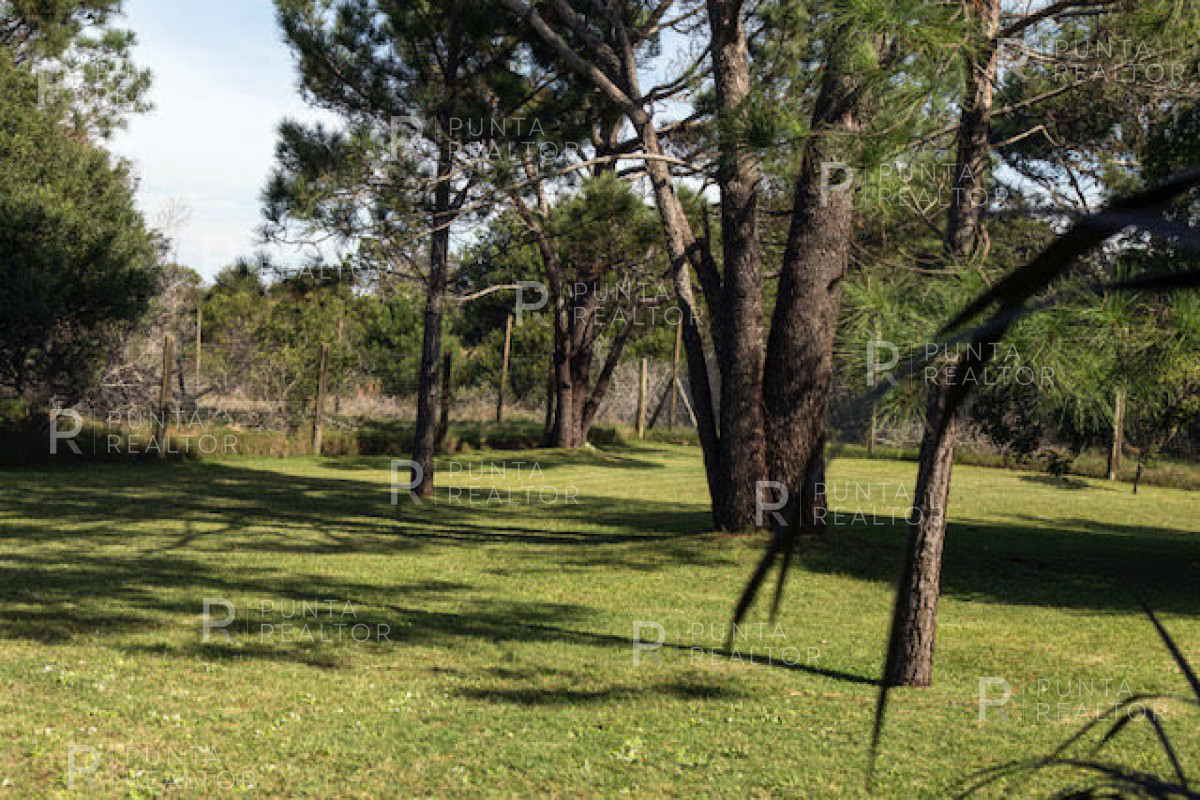 Casa ID.158 - Casa alquiler 4 dormitorios, Arenas de José Ignacio, José Ignacio, Uruguay