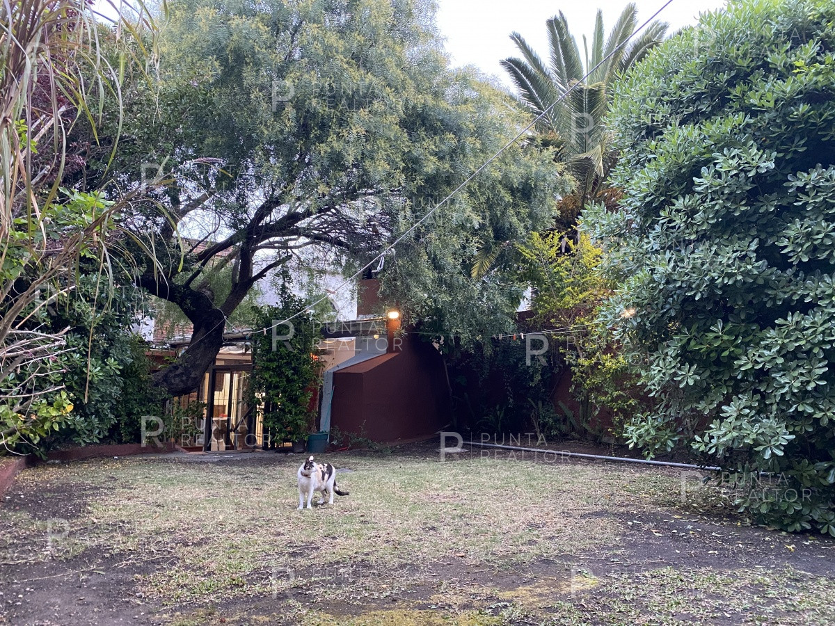 Casa ID.828 - Casa en alquiler 3 dormitorios, 2 suites, servicio, barbacoa, jardines, Montevideo Uruguay