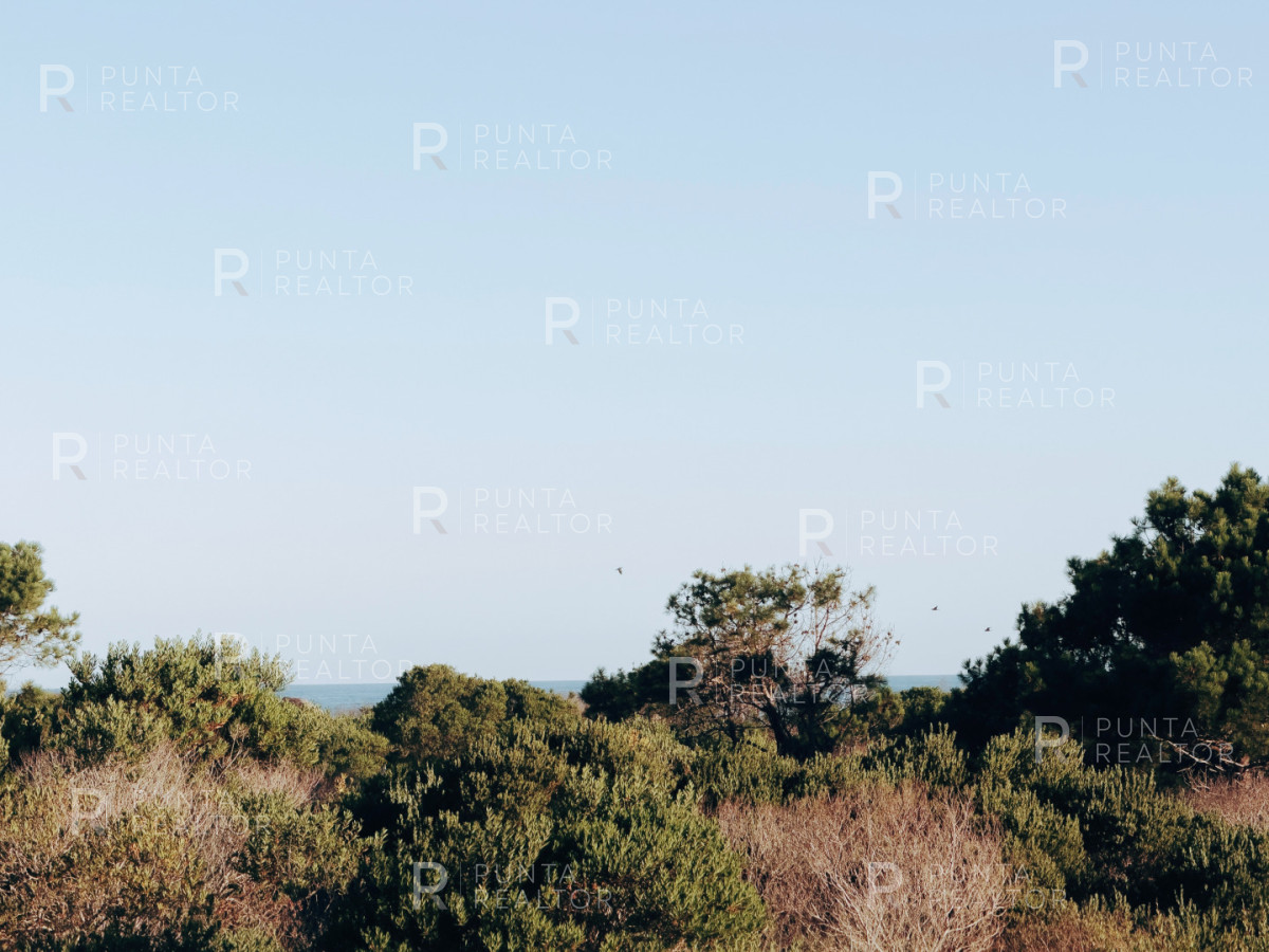 Casa ID.158 - Casa Alquiler, 4 Dormitorios, Pileta, Arenas de José Ignacio, José Ignacio, Uruguay