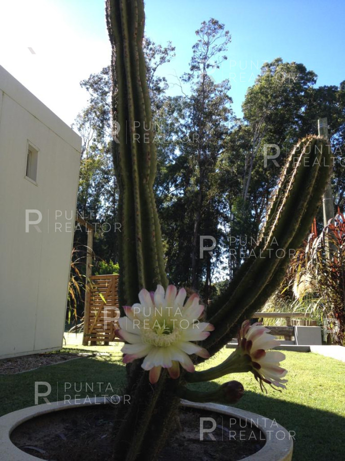Casa ID.535 - Casa Venta, 3 dormitorios, 2 baños, El Tesoro, La Barra