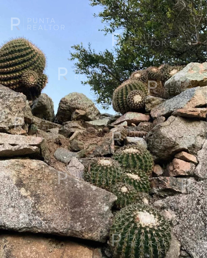 Chacra ID.1550 - Chaca Serrana EN VENTA