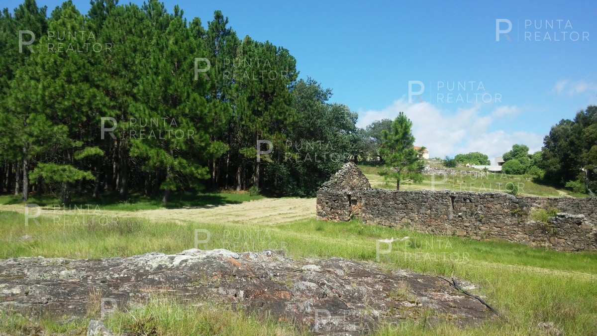 Chacra ID.827 - Espectacular chacra en Sierra de la Ballena en venta y alquiler