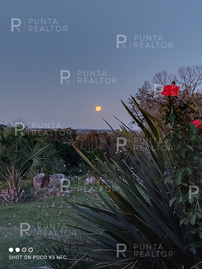Chacra ID.827 - Espectacular chacra en Sierra de la Ballena en venta y alquiler