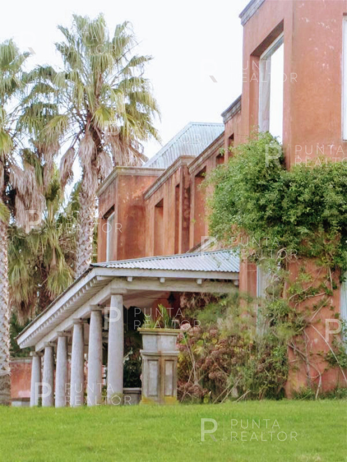 Chacra ID.349 - Chacra en venta en Mangrullos de Punta Pierdras