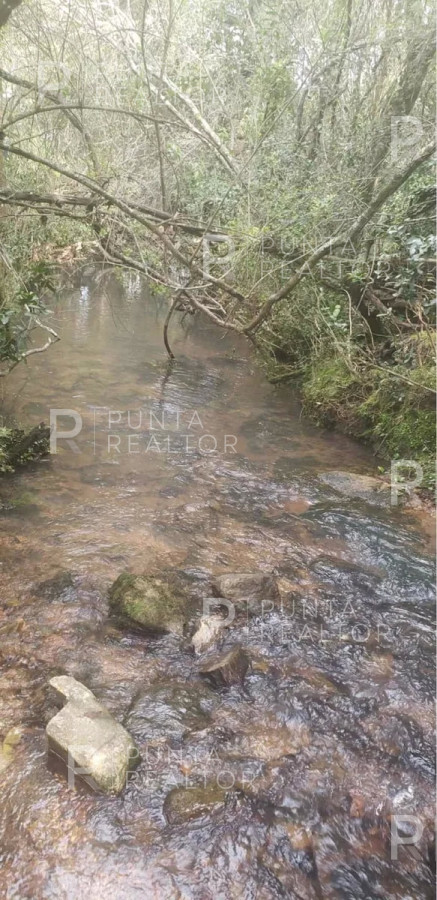 Chacra ID.1550 - Chaca Serrana EN VENTA