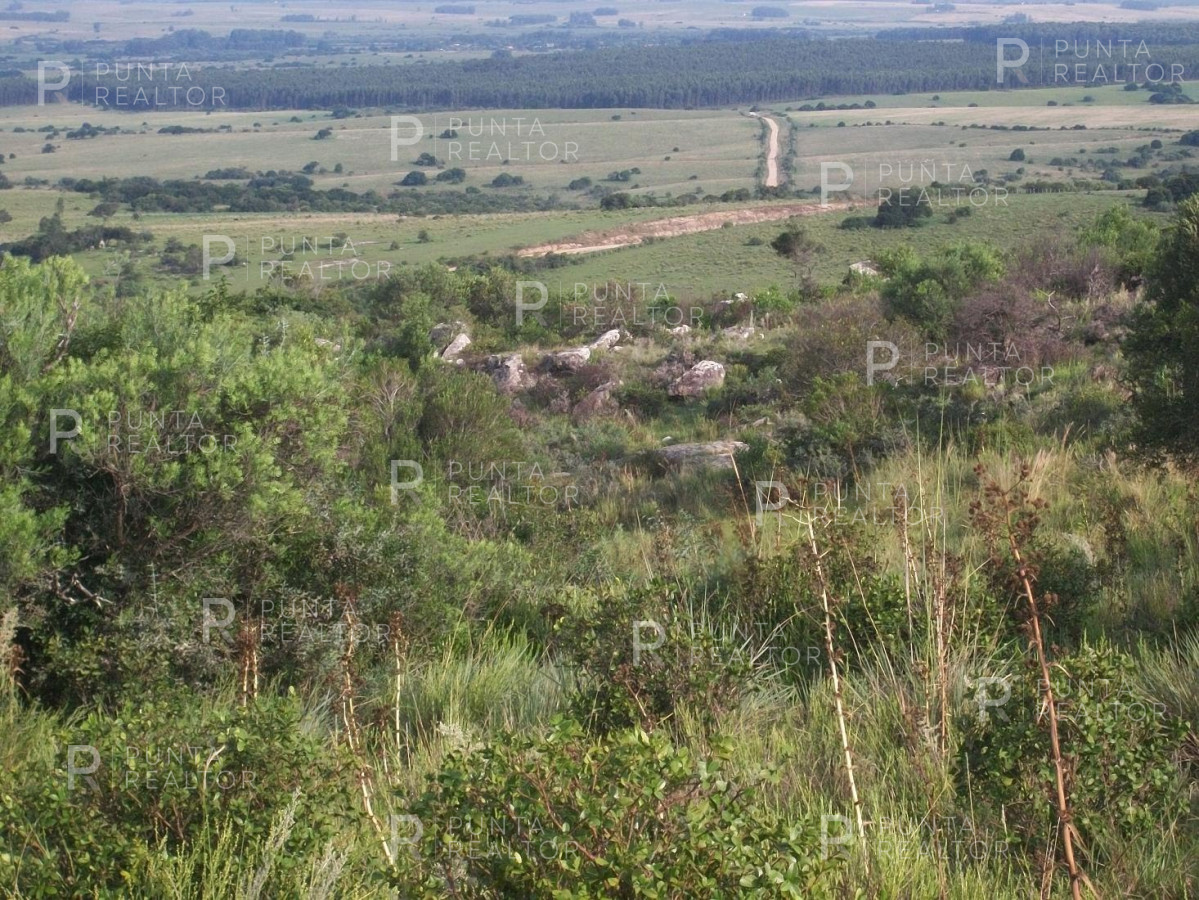 Chacra ID.159 - Chacra en Garzon imperdible, 10 hectáreas, con arroyo, monte.