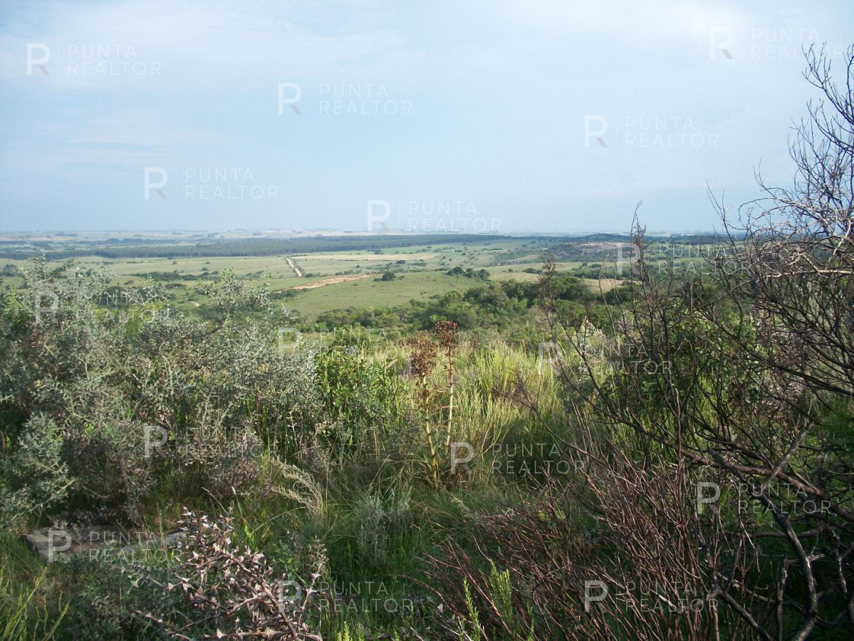 Chacra ID.159 - Chacra en Garzon imperdible, 10 hectáreas, con arroyo, monte.