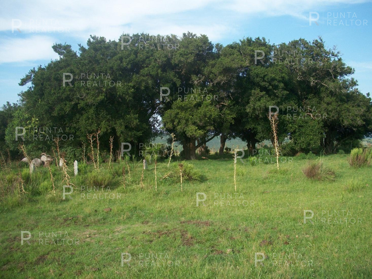 Chacra ID.159 - Chacra en Garzon imperdible, 10 hectáreas, con arroyo, monte.