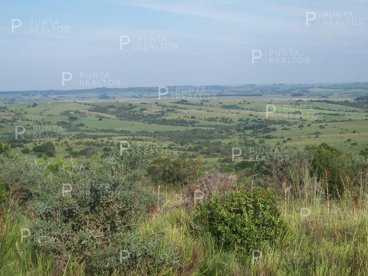 Chacra ID.159 - Chacra en Garzon imperdible, 10 hectáreas, con arroyo, monte.