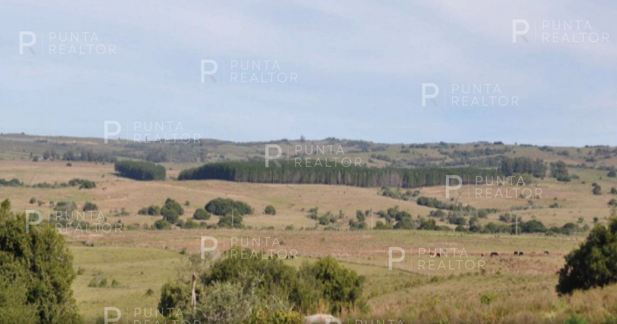 Chacra ID.1400 - Hermosa chacra en venta