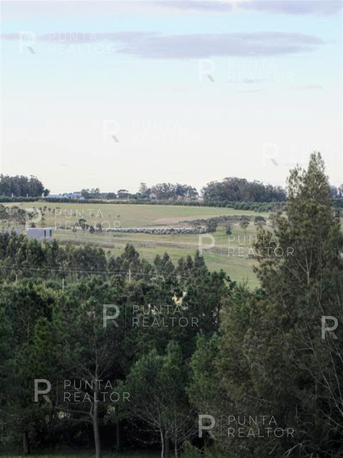 Chacra ID.349 - Chacra en venta en Mangrullos de Punta Pierdras