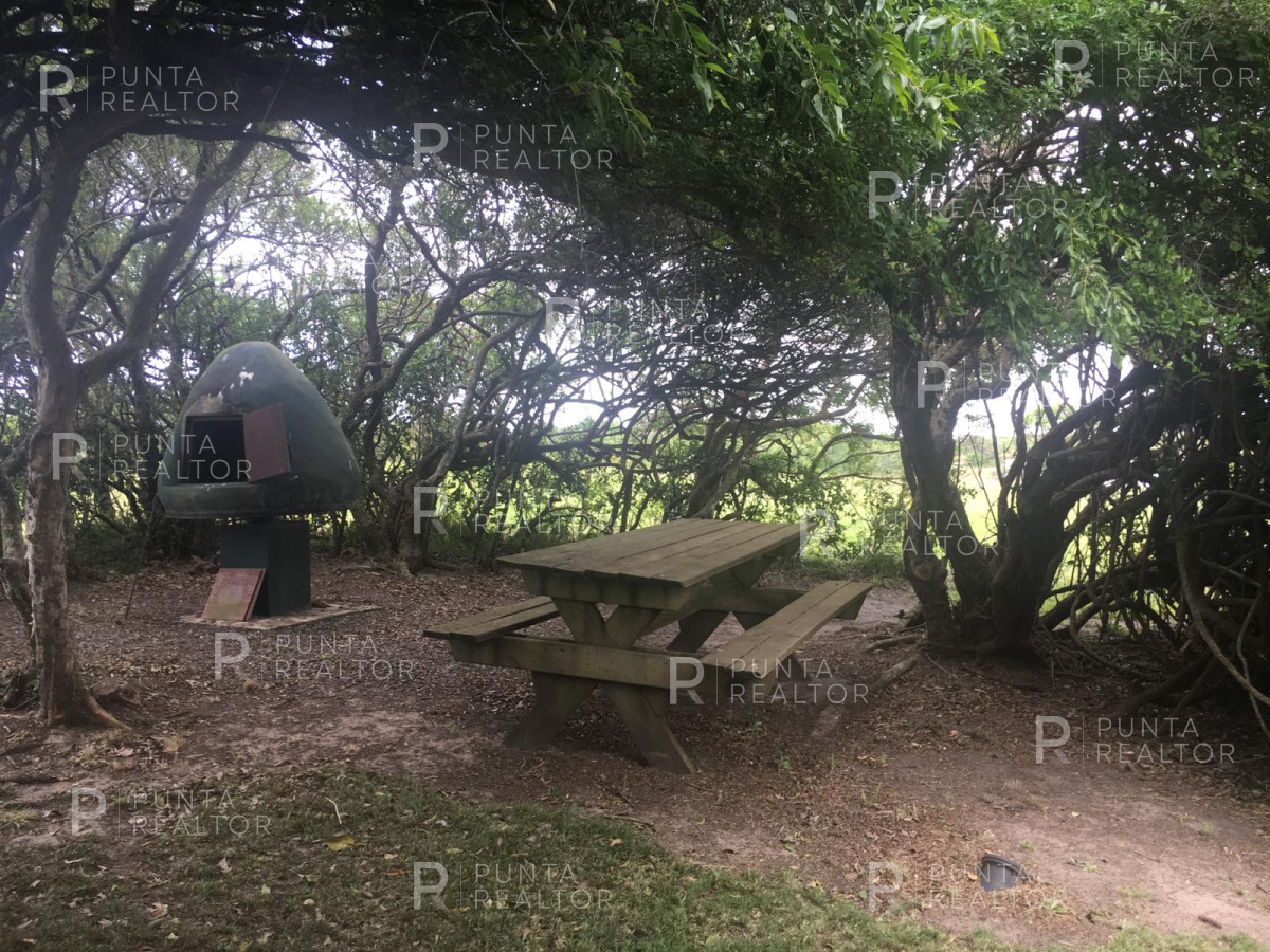 Chacra ID.256 - Excelente chacra en venta con laguna propia en José Ignacio