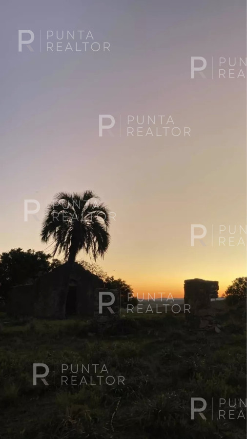 Chacra ID.1550 - Chaca Serrana EN VENTA