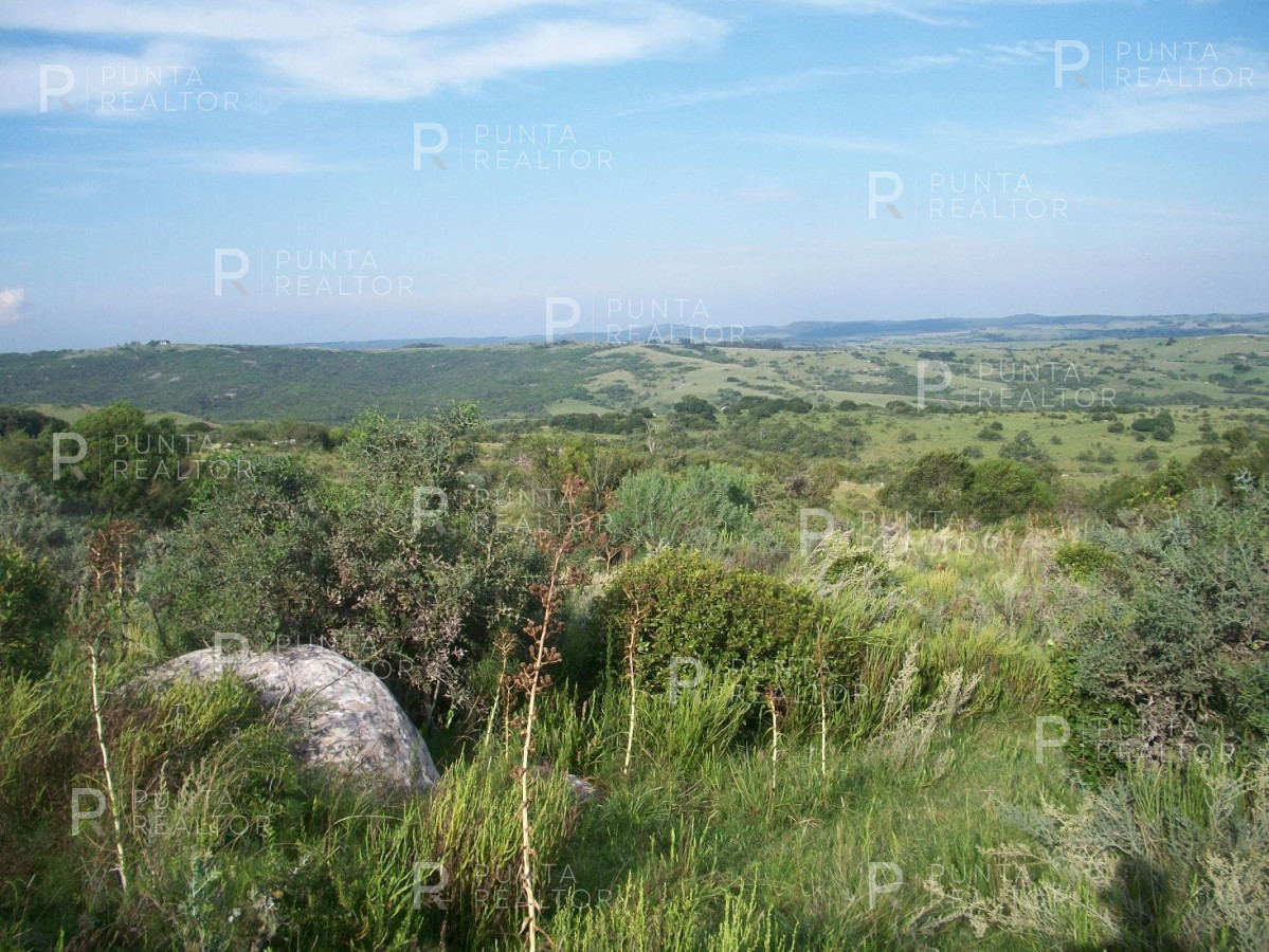 Chacra ID.159 - Chacra en Garzon imperdible, 10 hectáreas, con arroyo, monte.