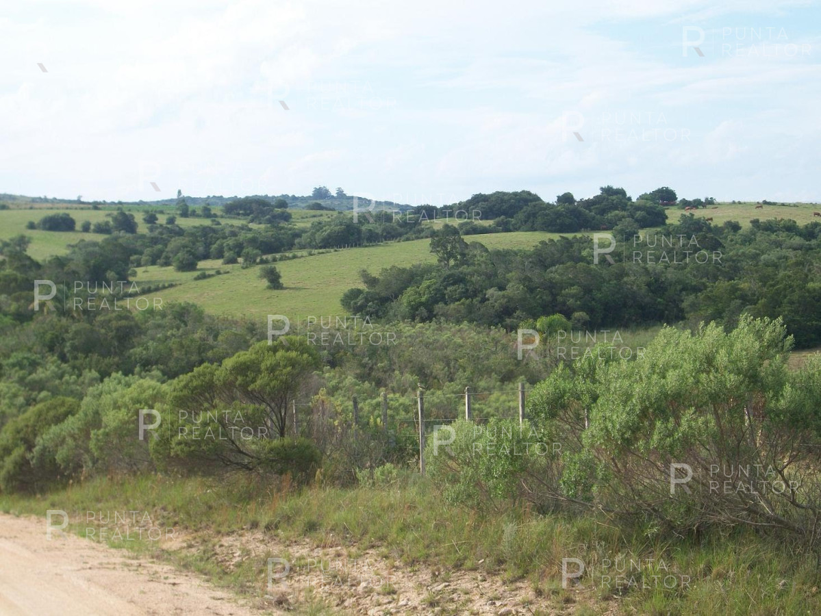 Chacra ID.159 - Chacra en Garzon imperdible, 10 hectáreas, con arroyo, monte.