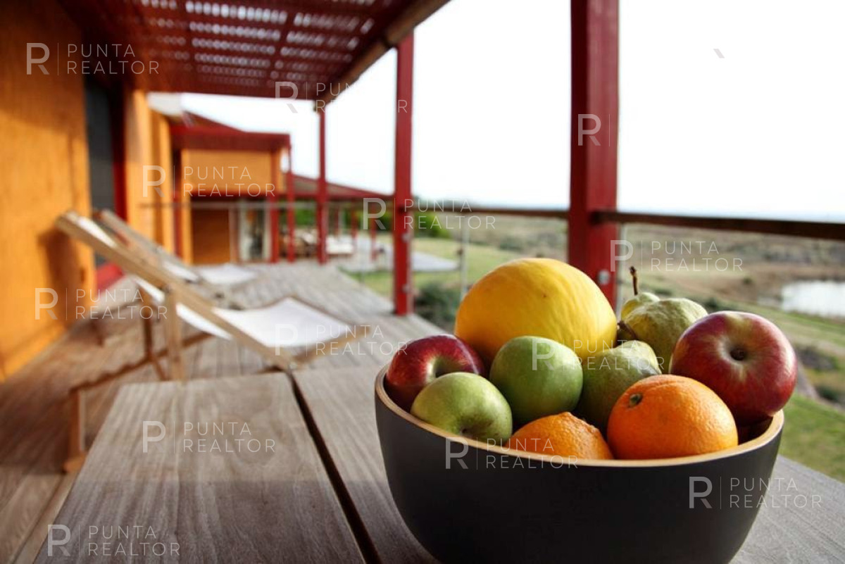 Chacra ID.257 - Chacra en venta en Miramar Acres, La Barra